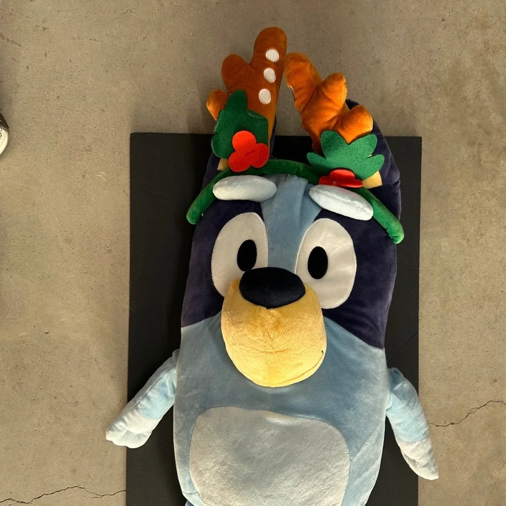 Bluey embrace holiday